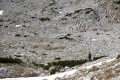 IMG_4816_16.jpg