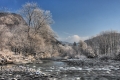 IMG_4992x.jpg