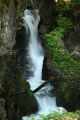 IMG_5007_8.jpg