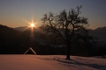 IMG_5009x.jpg