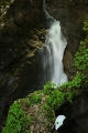 IMG_5040_8.jpg
