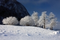 IMG_5304x.jpg