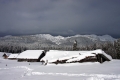 IMG_5979p.jpg