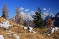 IMG_6069s.jpg