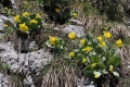 IMG_6239_8.jpg