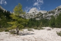 IMG_6594_28.jpg