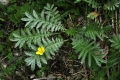 IMG_6964_6.jpg