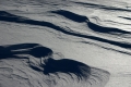 IMG_6985m.jpg