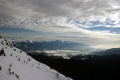 IMG_6995m.jpg