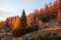 IMG_7041_18.jpg