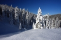 IMG_7143x.jpg