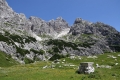 IMG_7287_16.jpg