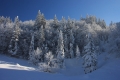 IMG_7524x.jpg