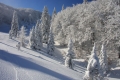 IMG_7531x.jpg