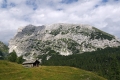 IMG_7899_16.jpg