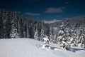 IMG_8058_12.jpg