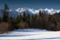IMG_8235_12.jpg