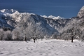 IMG_8458x.jpg
