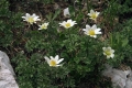 IMG_8646_6.jpg