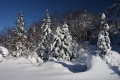 IMG_8689x.jpg