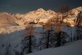 IMG_8708_10.jpg
