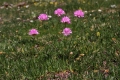 IMG_8728_6.jpg