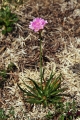 IMG_8736_6.jpg