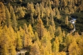 IMG_8865_6.jpg