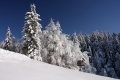 IMG_9387x.jpg