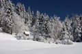 IMG_9611x.jpg