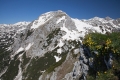 IMG_9716_10.jpg